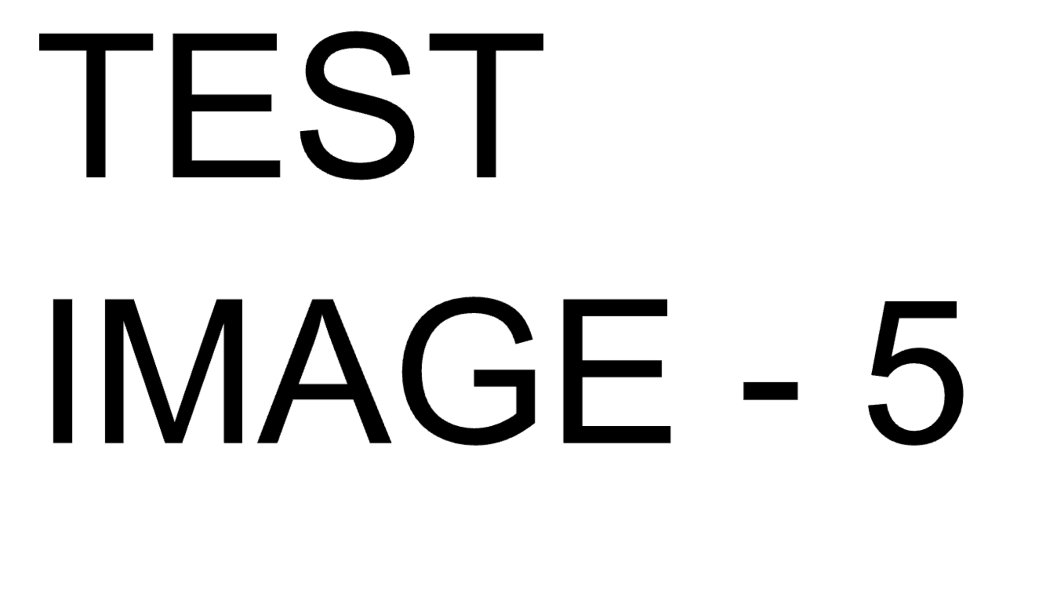 TEST IMAGE 5